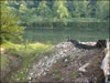 My Gallery: Image